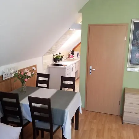 Elmira Apartament *