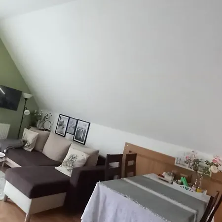 Elmira Apartament *